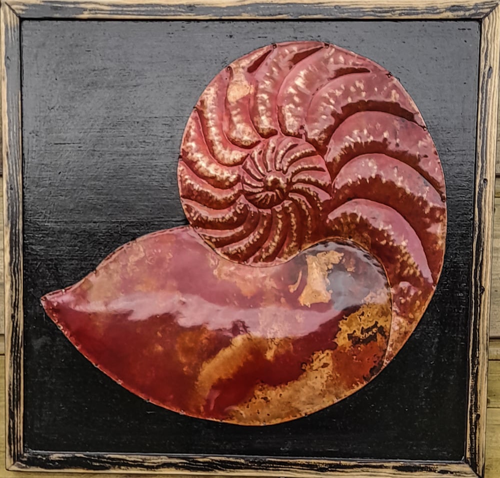 Andreucetti Nautilus Fossil in Red 