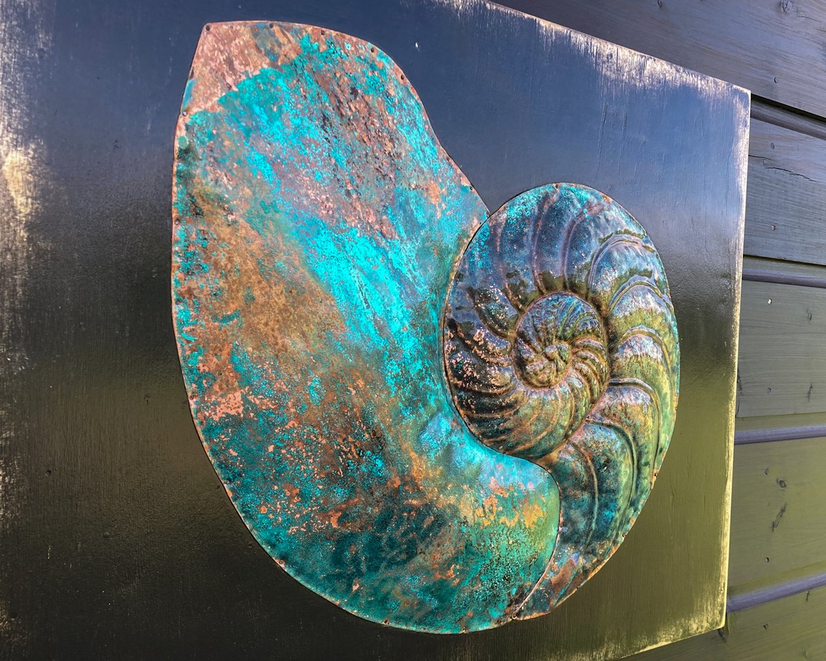 Andreucetti Nautilus Fossil in Blue